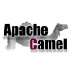 Apache Camel Training in Pakistan