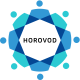 Horovod Training in Pakistan