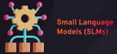 Category for Small Language Models (SLMs)
