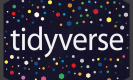 Tidyverse Training in Pakistan