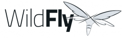 Wildfly Training in Pakistan